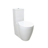 Conception de salle de bain Meilleure vente Toilette lavable - SD903